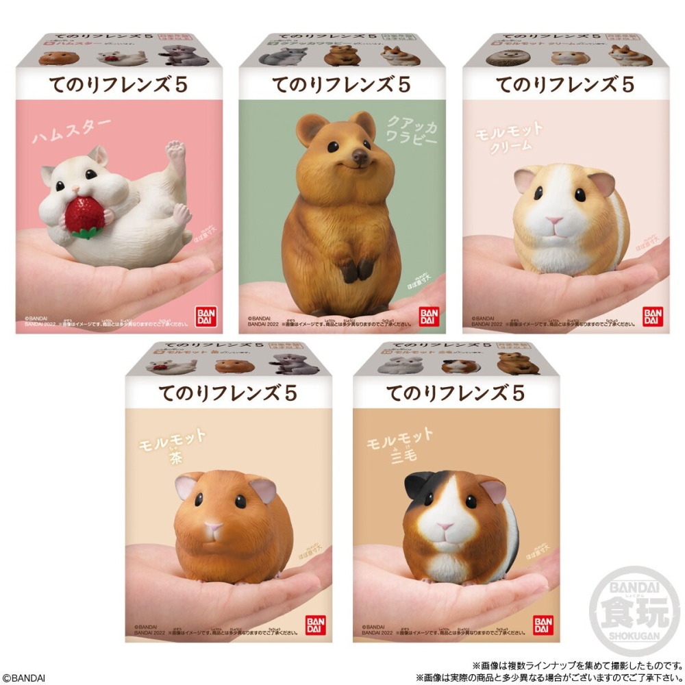 【歐賣小舖】現貨 BANDAI 食玩 掌中動物 好朋友系列5 全10種-細節圖3