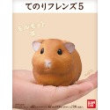 【歐賣小舖】現貨 BANDAI 食玩 掌中動物 好朋友系列5 全10種-規格圖3