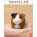 【歐賣小舖】現貨 BANDAI 食玩 掌中動物 好朋友系列5 全10種-規格圖3