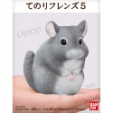 【歐賣小舖】現貨 BANDAI 食玩 掌中動物 好朋友系列5 全10種-規格圖3