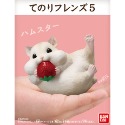 【歐賣小舖】現貨 BANDAI 食玩 掌中動物 好朋友系列5 全10種-規格圖3