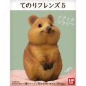 【歐賣小舖】現貨 BANDAI 食玩 掌中動物 好朋友系列5 全10種-規格圖3