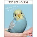【歐賣小舖】BANDAI 食玩 掌中動物 好朋友系列4 全11種-規格圖3