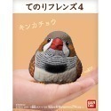 【歐賣小舖】BANDAI 食玩 掌中動物 好朋友系列4 全11種-規格圖3