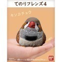 【歐賣小舖】BANDAI 食玩 掌中動物 好朋友系列4 全11種-規格圖3