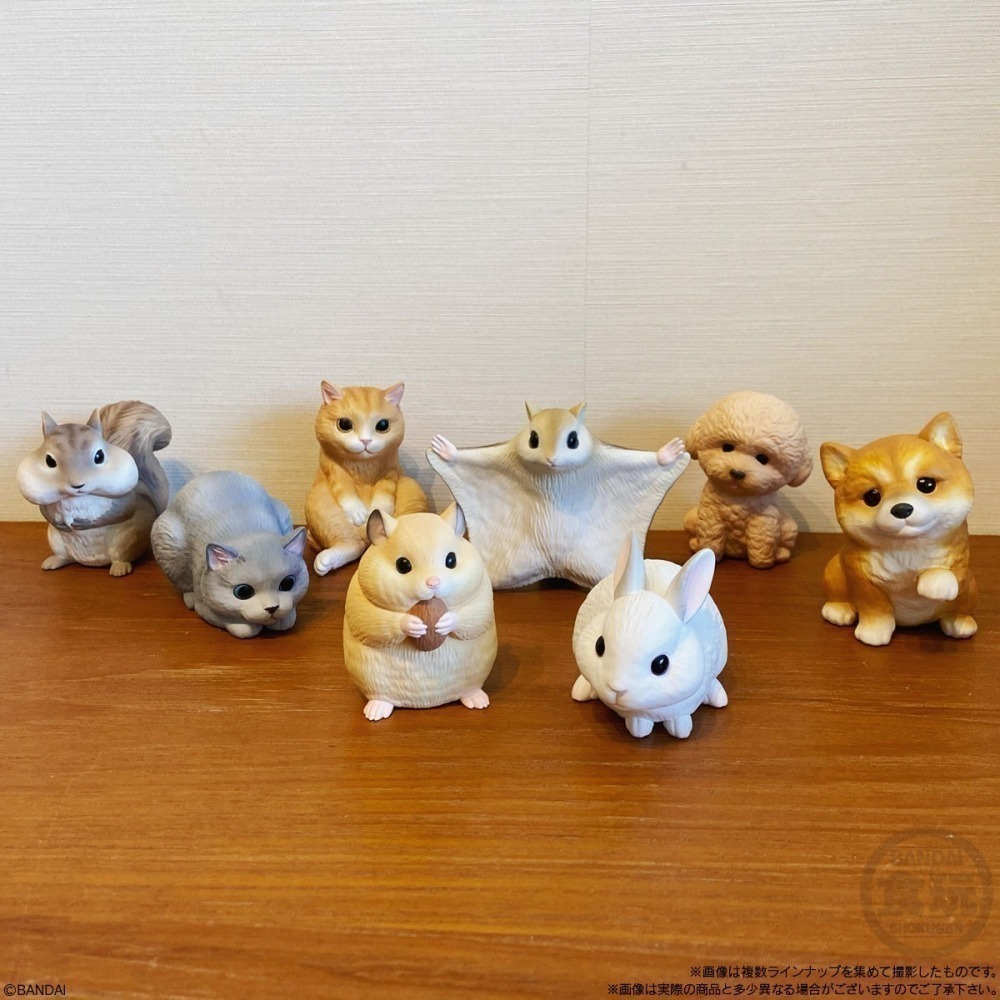【歐賣小舖】BANDAI 食玩 掌中動物 好朋友系列2 全8種-細節圖3