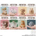 【歐賣小舖】BANDAI 食玩 掌中動物 好朋友系列2 全8種-規格圖3