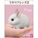 【歐賣小舖】BANDAI 食玩 掌中動物 好朋友系列2 全8種-規格圖3