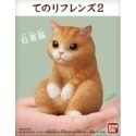 【歐賣小舖】BANDAI 食玩 掌中動物 好朋友系列2 全8種-規格圖3