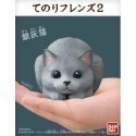 【歐賣小舖】BANDAI 食玩 掌中動物 好朋友系列2 全8種-規格圖3