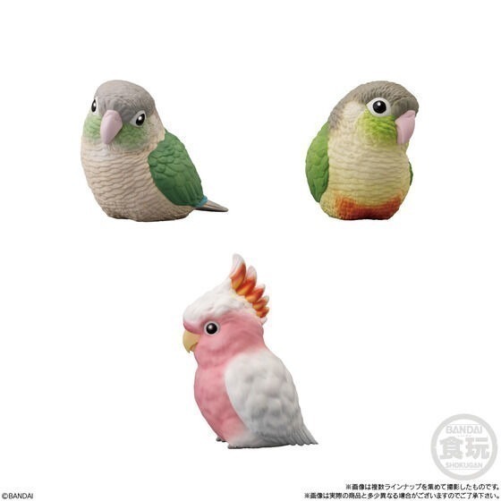 【歐賣小舖】BANDAI 食玩 掌中動物 好朋友系列10 全12種-細節圖4