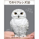 【歐賣小舖】BANDAI 食玩 掌中動物 好朋友系列10 全12種-規格圖9