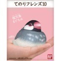 【歐賣小舖】BANDAI 食玩 掌中動物 好朋友系列10 全12種-規格圖9