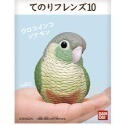 【歐賣小舖】BANDAI 食玩 掌中動物 好朋友系列10 全12種-規格圖9