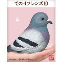 【歐賣小舖】BANDAI 食玩 掌中動物 好朋友系列10 全12種-規格圖9