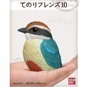 【歐賣小舖】BANDAI 食玩 掌中動物 好朋友系列10 全12種-規格圖9