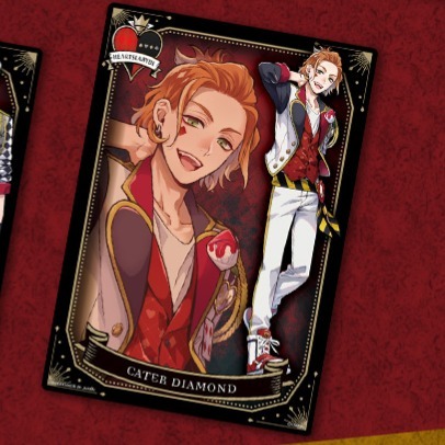 【歐賣小舖】BANDAI 迪士尼扭曲仙境 A5塑膠海報 寮服 可挑款-規格圖6