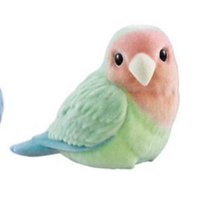 6.桃面愛情鳥