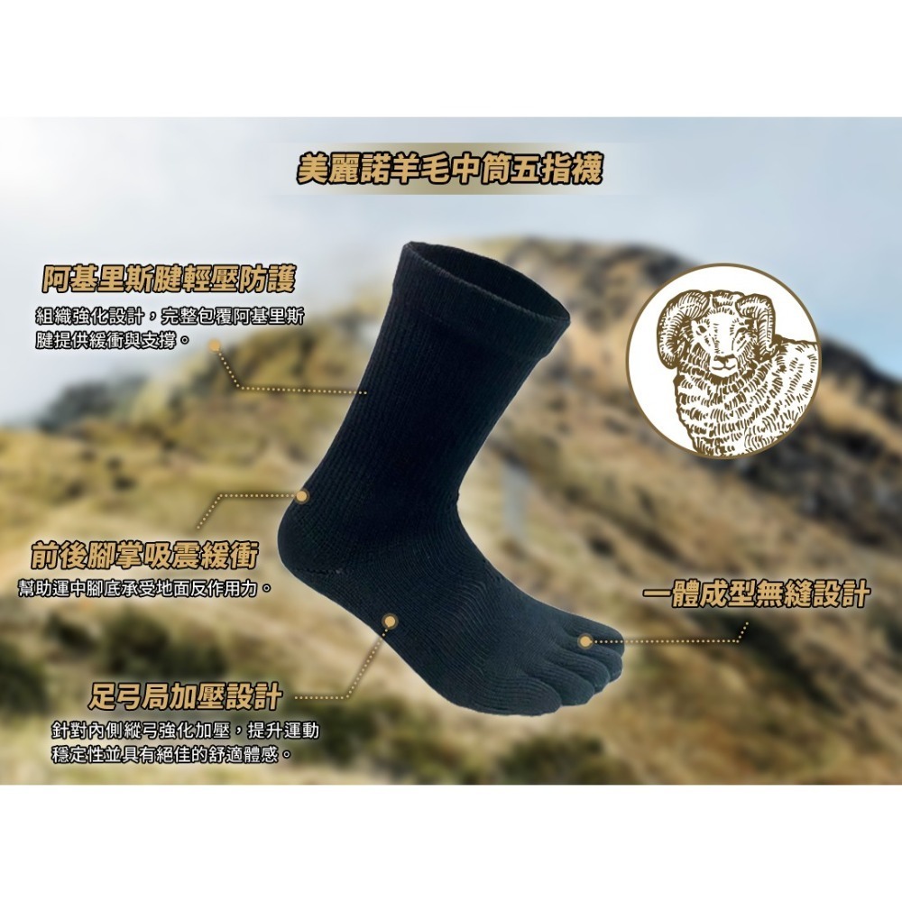 【Walkplus】美麗諾羊毛五指襪(細針款) 登山襪 羊毛襪 羊毛五指襪 美麗諾羊毛 百岳 健行 台灣製 四季穿 現貨-細節圖5