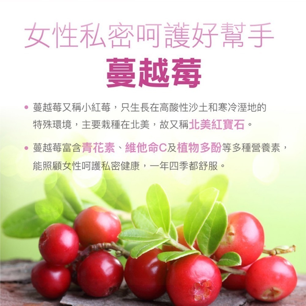 BLACKMORES 澳佳寶 蔓越莓15000 60顆/瓶 台灣公司貨》大墩藥局-細節圖2