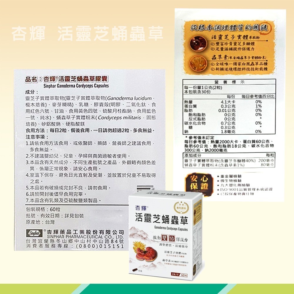 大墩藥局》杏輝 活靈芝蛹蟲草膠囊 60粒/盒-細節圖3