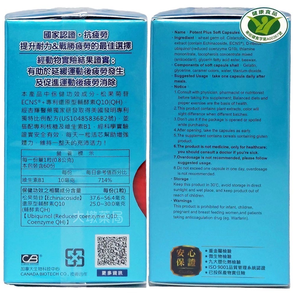 杏輝 活芯升級版軟膠囊 60粒/盒 ECNS松果菊苷 Q10 核醣 維生素》大墩藥局-細節圖4