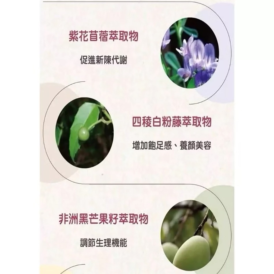 半月腰纖茶 現貨 袋裝出貨 主要6大成份 紫花苜蓿 藤黃果 兒茶素 山茶花 台灣製造 養身茶》大墩藥局-細節圖7