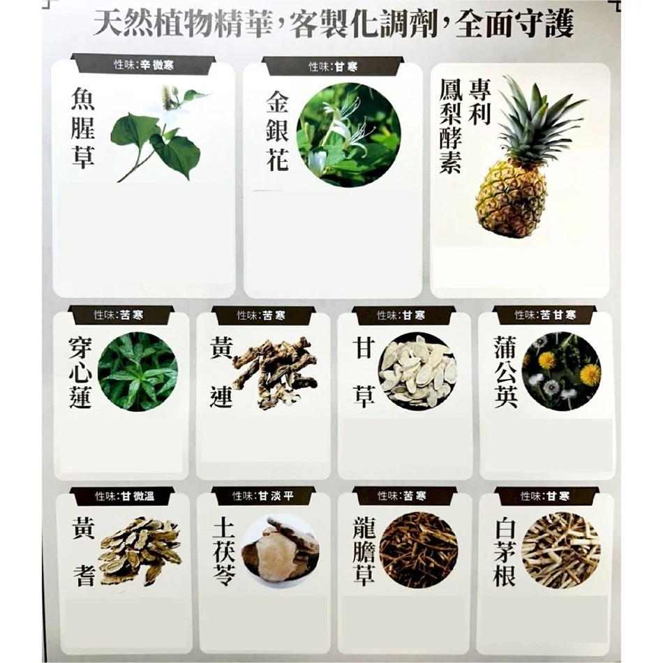 金博氏 植萃西林 100粒/盒 魚腥草 金銀花 黃連 專利鳳梨酵素 台灣公司貨》大墩藥局-細節圖3