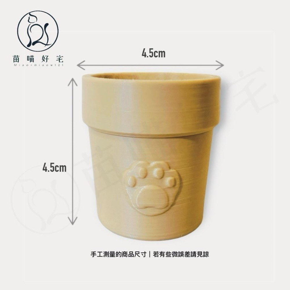 【苗喵好宅】🐱貓鬍鬚小盆栽✦貓奴必備療癒小物✨-細節圖3