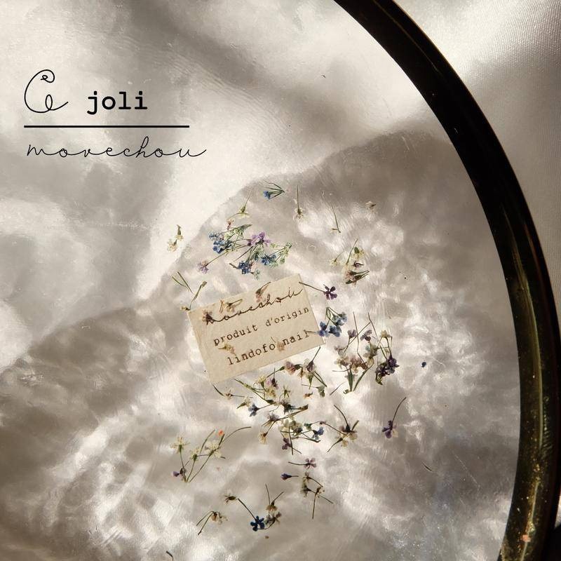 現貨供應｜ 日系質感 美甲 混色蕾絲花 乾花 油畫風 綜合小乾燥花 碎花 壓花 美甲 diy 裝飾 小野花 迷你乾燥花-細節圖4