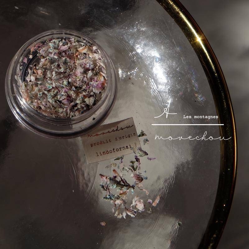 現貨｜ 日系混色乾燥花 碎花 美甲裝飾 diy素材 裝飾品 混色 多彩 乾花 小碎花 花瓣 壓花 smint同款-細節圖7