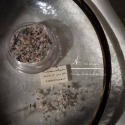 現貨｜ 日系混色乾燥花 碎花 美甲裝飾 diy素材 裝飾品 混色 多彩 乾花 小碎花 花瓣 壓花 smint同款-規格圖9