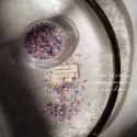 現貨｜ 日系混色乾燥花 碎花 美甲裝飾 diy素材 裝飾品 混色 多彩 乾花 小碎花 花瓣 壓花 smint同款-規格圖9