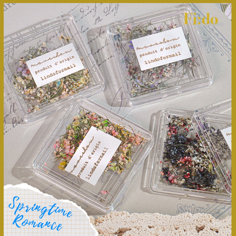 現貨｜ 日系 春日浪漫 哥德油畫配色 乾燥花 碎花蕾絲花 美甲 壓花 乾燥滿天星 小碎花 乾燥小花 油畫-細節圖3