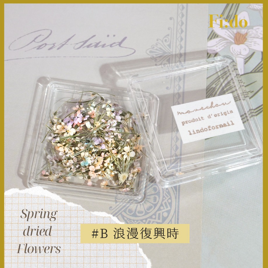 現貨｜ 日系 春日浪漫 哥德油畫配色 乾燥花 碎花蕾絲花 美甲 壓花 乾燥滿天星 小碎花 乾燥小花 油畫-細節圖5