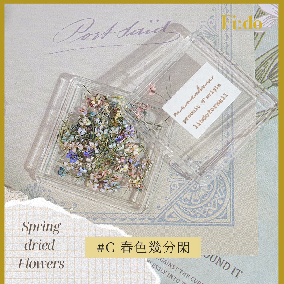 現貨｜ 日系 春日浪漫 哥德油畫配色 乾燥花 碎花蕾絲花 美甲 壓花 乾燥滿天星 小碎花 乾燥小花 油畫-細節圖6