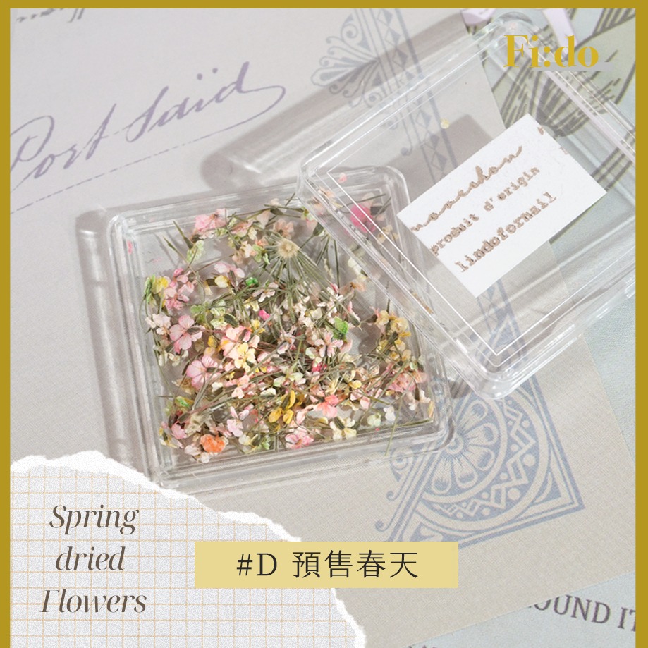 現貨｜ 日系 春日浪漫 哥德油畫配色 乾燥花 碎花蕾絲花 美甲 壓花 乾燥滿天星 小碎花 乾燥小花 油畫-細節圖7