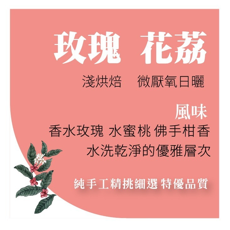 玫瑰花荔 哥倫比亞 微厭氧日曬 新鮮手沖咖啡豆 虹吸式咖啡豆  美式咖啡 瀘沐咖啡 比星巴克還要好喝-細節圖2