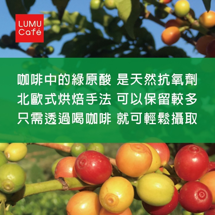 哥倫比亞 紅玉香荔 天堂92莊園 新鮮手沖咖啡豆 虹吸式咖啡豆  美式咖啡 瀘沐咖啡 比星巴克還要好喝-細節圖4