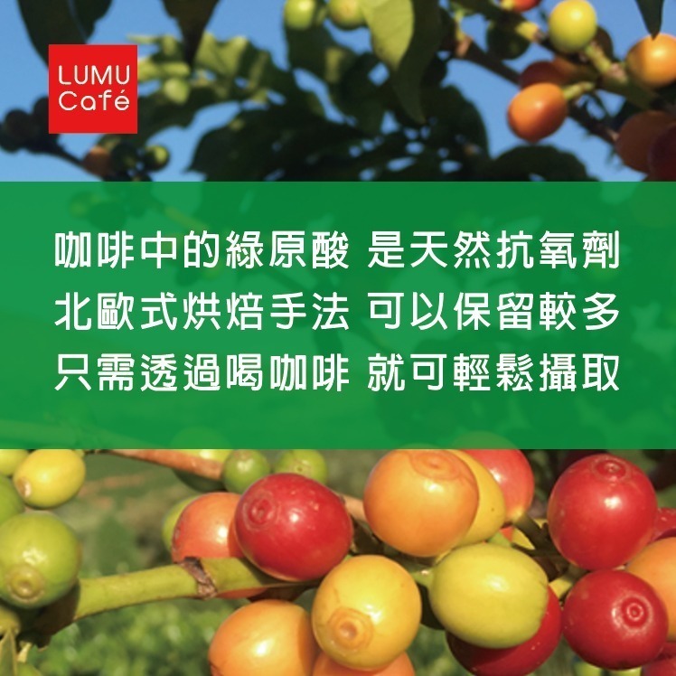 蜜桃祕境 哥倫比亞 新鮮手沖咖啡豆 虹吸式咖啡豆  美式咖啡 瀘沐咖啡 比星巴克還要好喝 LUMU-細節圖3