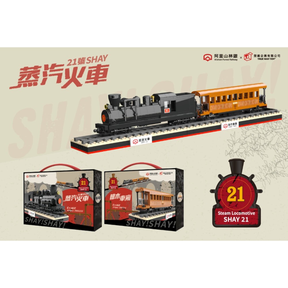阿里山小火車積木 SHAY-21 蒸汽火車 阿里山檜木車廂 台灣火車積木 TRUE WAY TOY TR台灣鐵道-細節圖2