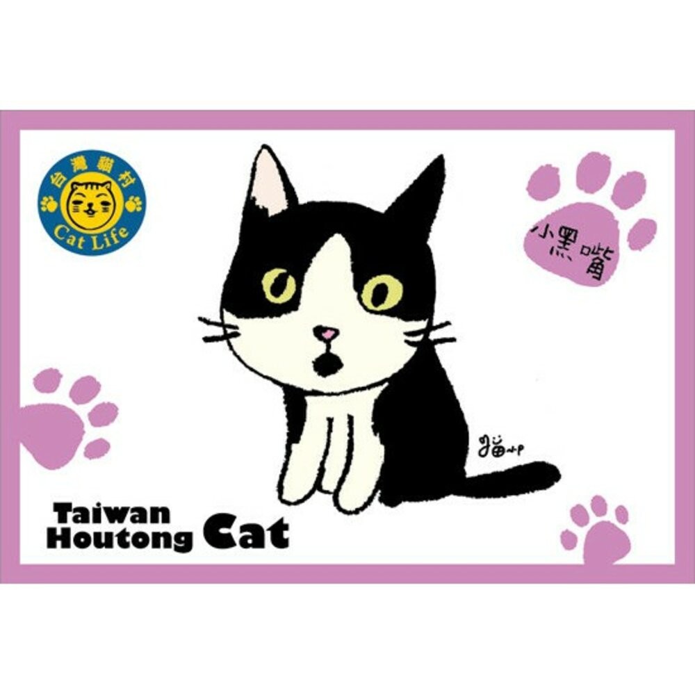 貓小P手繪明信片 猴硐貓村系列明信片 TR台灣鐵道-規格圖3