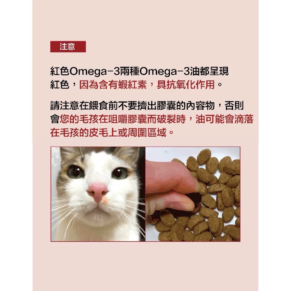 《健康貓》朝貢】RED Omega-3 Mini 紅色魚油膠囊｜rTG Omega-3＋蝦紅素｜犬貓適用｜120顆-細節圖5