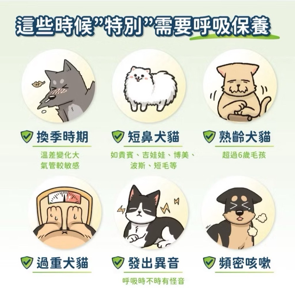《健康貓》【汪喵星球犬貓營養品系列】 呼吸道保健 盒裝30包 2G/包 換季必備貓狗 保健品-細節圖2