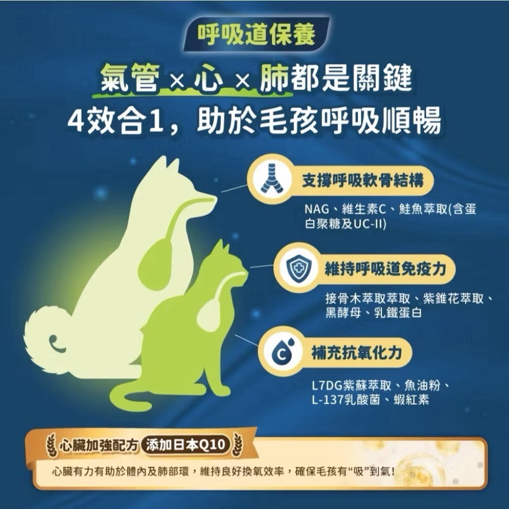 《健康貓》【汪喵星球犬貓營養品系列】 呼吸道保健 盒裝30包 2G/包 換季必備貓狗 保健品-細節圖3