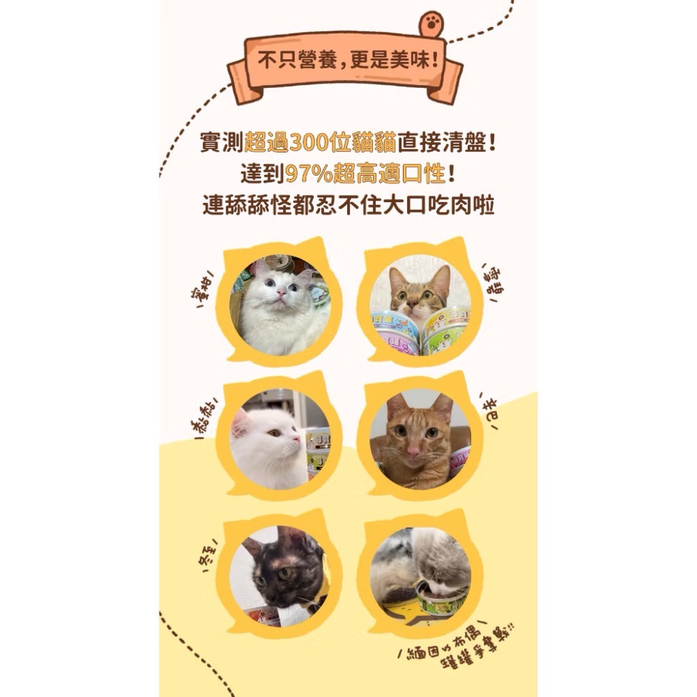 《健康貓》Catssay 貓有話說｜尋寶罐 （24罐組）主食罐 80g｜98%動物性蛋白｜無穀無膠｜貓咪主食罐-細節圖8