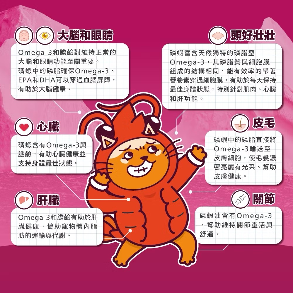 《健康貓》（185g/12包組）肉球世界 南極磷蝦大肉包 絲狀 泥狀 美毛包 南極磷蝦油 台灣製 貓餐包 貓主食 貓主食-細節圖4