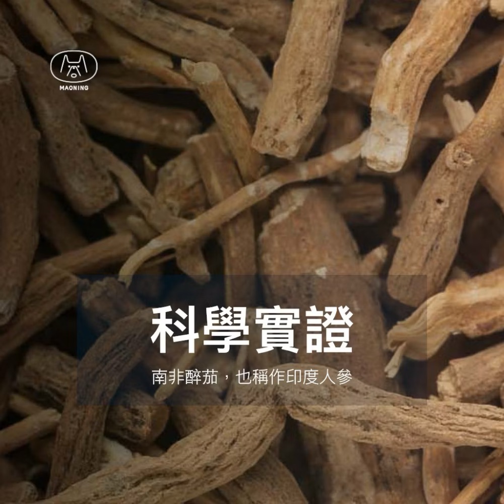《健康貓》Broadreach Nature老歡天(犬貓)膠囊90顆－老年認知營養保健-細節圖3
