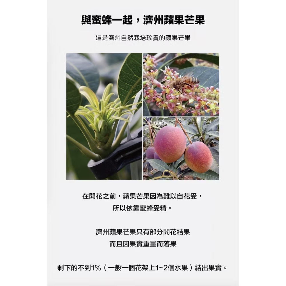 《健康貓》【韓國朝貢】濟州島系列（（15g x 4入）快樂雞/雙魚匯/鹿肉/馬肉-細節圖8