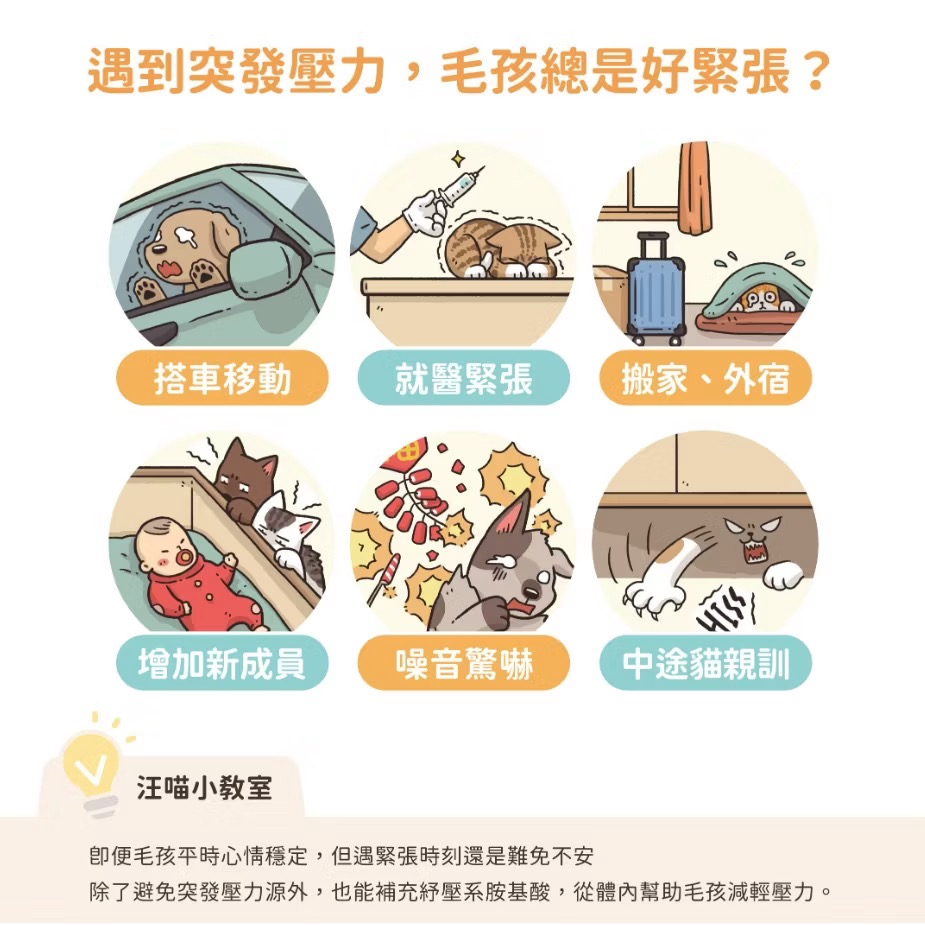 <健康貓> 汪喵星球 紓壓胺基酸 2g×20入｜犬貓紓壓胺基酸 安撫毛孩 舒緩焦慮 雞肉口味 (情緒保健>-細節圖2